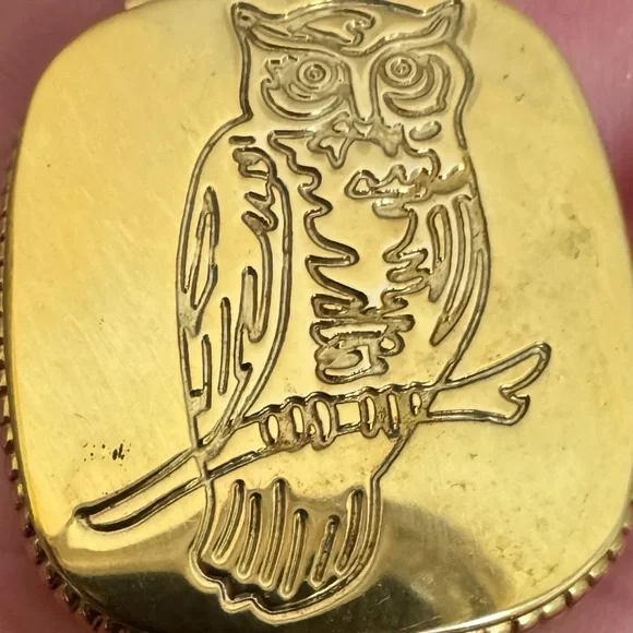 J. Crew Gold Owl Pendant Necklace 24” with Locket - Picture 4 of 5